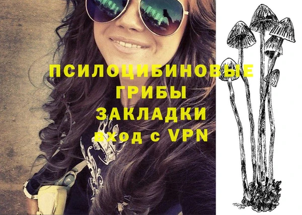 кокаин Белокуриха
