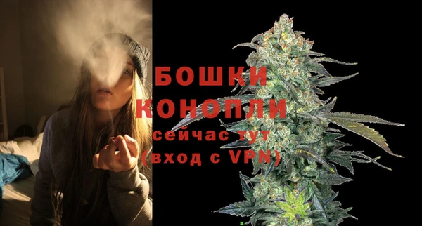 гашик Беломорск