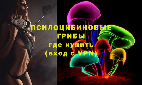 кокаин Белокуриха