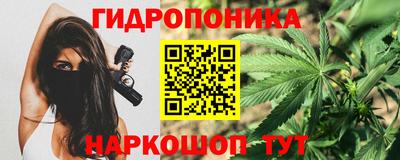 бошки Гусь-Хрустальный